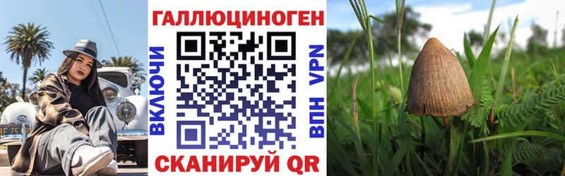 Псилоцибиновые грибы Psilocybine cubensis  Купить где  Солигалич 